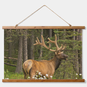 Tapisserie Suspendue Bull Elk en Velvet, Canada
