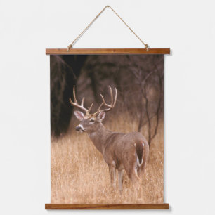 Tapisserie Suspendue Cerf à queue blanche   Choke Canyon State Park, TX