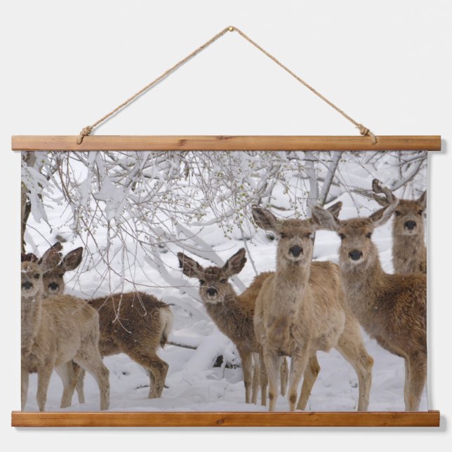 Tapisserie Suspendue Cerf Mule Wyoming (Devant)