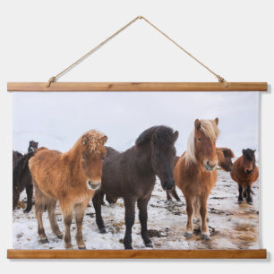 Tapisserie Suspendue Cheval Islandais Pendant l'Hiver Islande