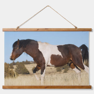 Tapisserie Suspendue Cheval sauvage, montagnes Steens