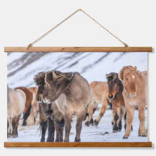 Tapisserie Suspendue Chevaux islandais dans les pâturages d'hiver près