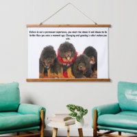 Chiots Brown Tibétains Mastiff