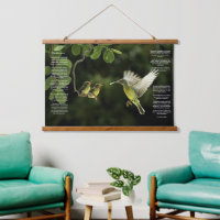 Colibri de Desiderata