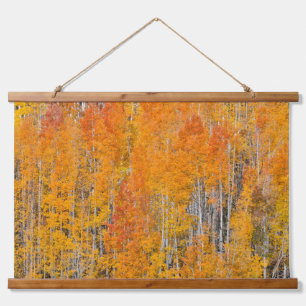 Tapisserie Suspendue Couleurs d'automne sur les bosquets de trembles