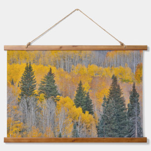 Tapisserie Suspendue Couleurs d'automne sur les bosquets de trembles