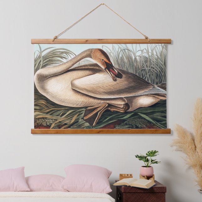 Tapisserie Suspendue Cygne trompette par John James Audubon (Chambre à coucher)