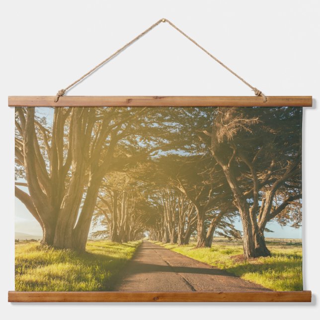 Tapisserie Suspendue Cypress Tunnel Point Reyes (Devant)