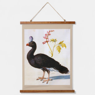 Tapisserie Suspendue Étude d'une Curassow Helmeted, Arcimboldo