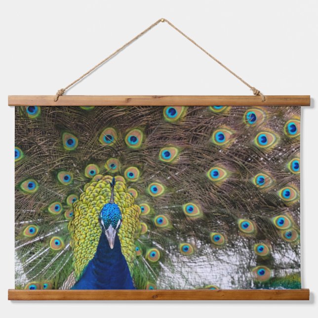 Tapisserie Suspendue Exquise Peacock Feature (Devant)