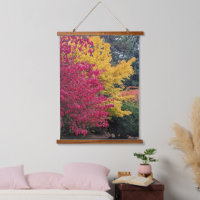 Feuilles Botaniques Colorées d'Automne