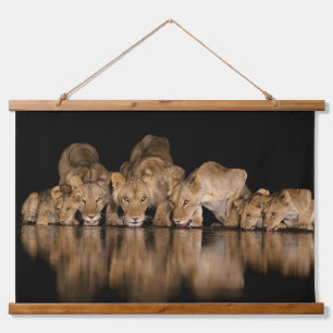 Tapisserie Suspendue Fierté de lions buvant au point d'eau la nuit