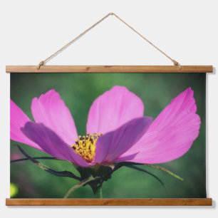 Tapisserie Suspendue Fleur Cosmos Rose Unique En Fleur