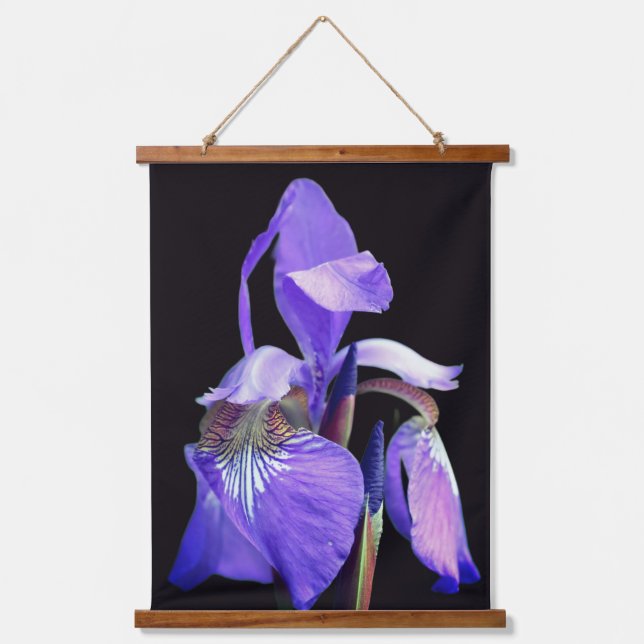 Tapisserie Suspendue Fleur d'iris à drapeau bleu violet  (Recto)