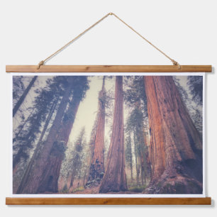 Tapisserie Suspendue Forêt de Sequoia