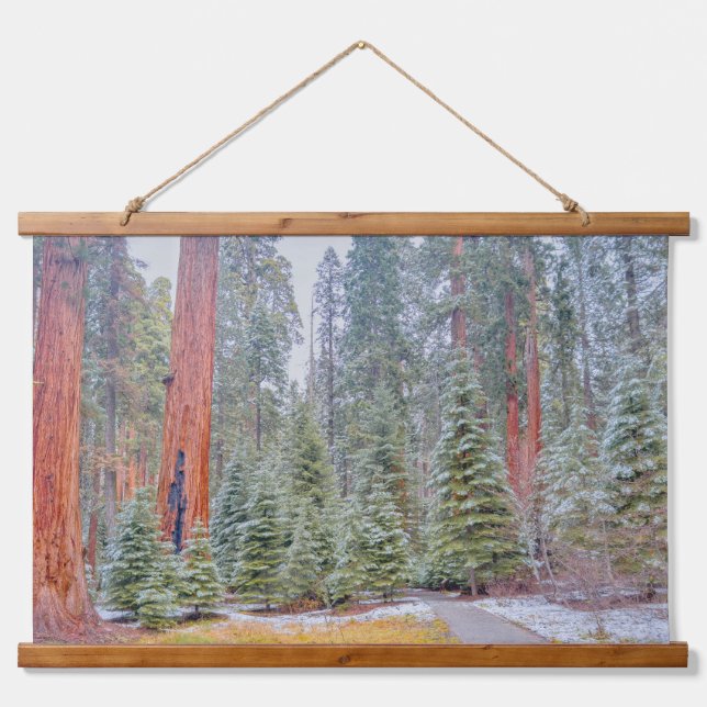 Tapisserie Suspendue Forêt de séquoias géants (Devant)