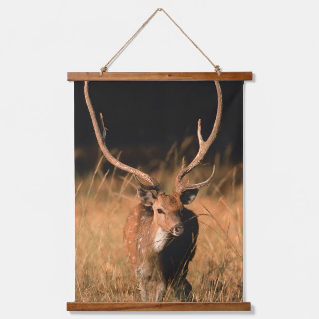 Tapisserie Suspendue Habitat naturel de l'hôpital | Parc national de Ba (Recto)