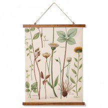 Illustration botanique scientifique vintage
