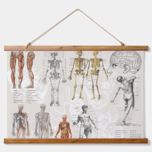 Tapisserie Suspendue Illustrations de biologie anatomique vintage
