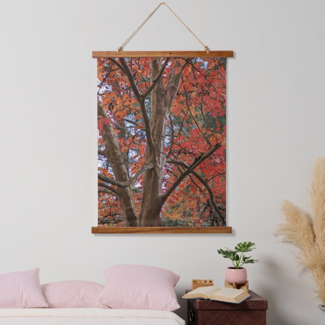 Tapisserie Suspendue Japanese Stewartia with Colorful Autumn Leaves (Chambre à coucher)