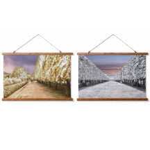 Jardin du Palais Royal de Paris