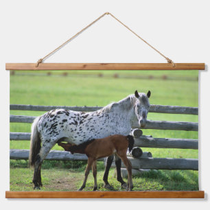 Tapisserie Suspendue Jument Appaloosa et poulain