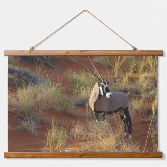 Tapisserie Suspendue La faune africaine Oryx Antelope Dune Savannah (Devant)