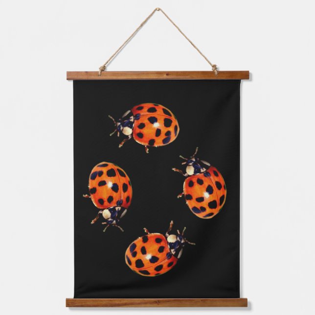 Tapisserie Suspendue Ladybug Go Round Abstract (Recto)