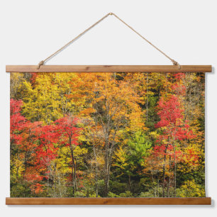 Tapisserie Suspendue L'automne à Sims Pond Caroline du Nord, Blue Ridge
