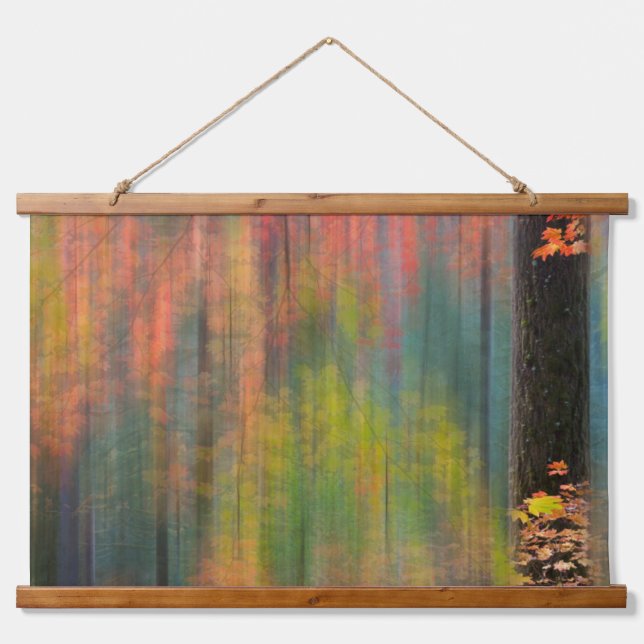 Tapisserie Suspendue Les érables | Parc d'état de Silver Falls (Devant)