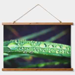 Tapisserie Suspendue Les gouttes de pluie sur l'herbe