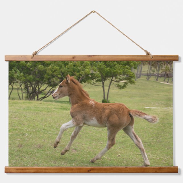 Tapisserie Suspendue L'île de Pâques aka Rapa Nui (Devant)