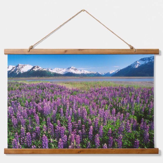 Tapisserie Suspendue Lupines en fleur | Kenai Mountains, Alaska (Devant)