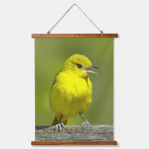Tapisserie Suspendue Orchard Oriole - Photo originale