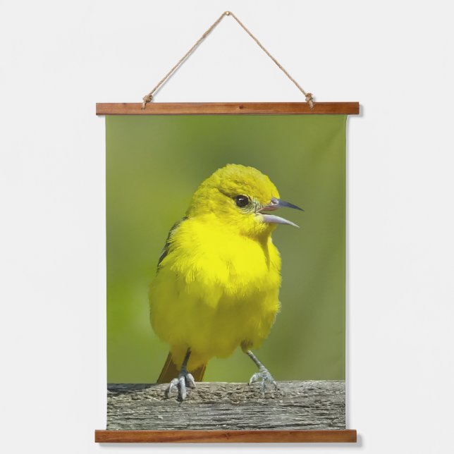 Tapisserie Suspendue Orchard Oriole - Photo originale (Recto)