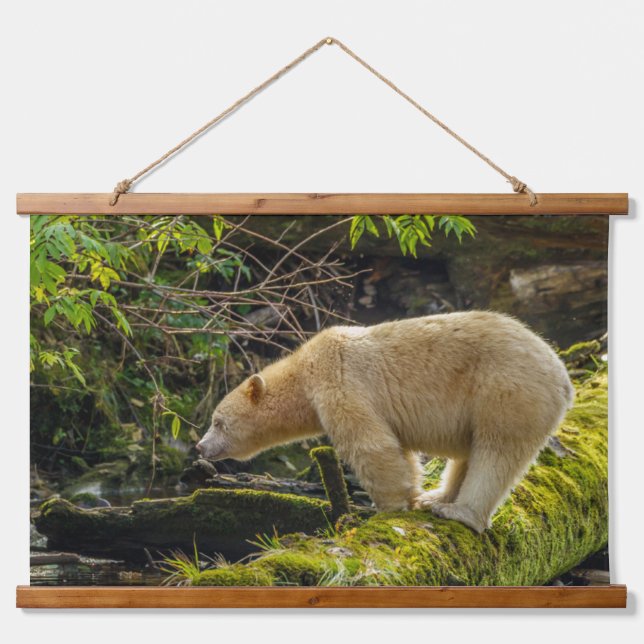 Tapisserie Suspendue Ours blanc esprit (Devant)