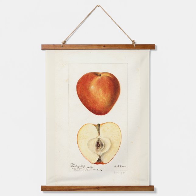Tapisserie Suspendue Page Pomologique Aquarelle Marshall Rouge (Recto)
