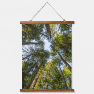 Tapisserie Suspendue Parcs national et d'État de Redwood, Californie