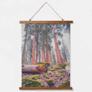 Tapisserie Suspendue Paysage forestier géant de Sequoia