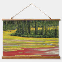 Plaine de sel et forêt | Parc national Wood Buffal