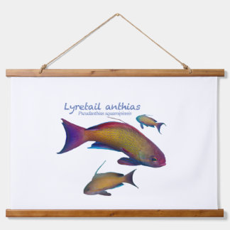 Tapisserie Suspendue Poissons de récif colorés