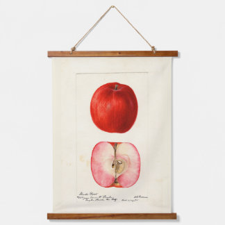 Tapisserie Suspendue Pomological Water Color Shasta Variété