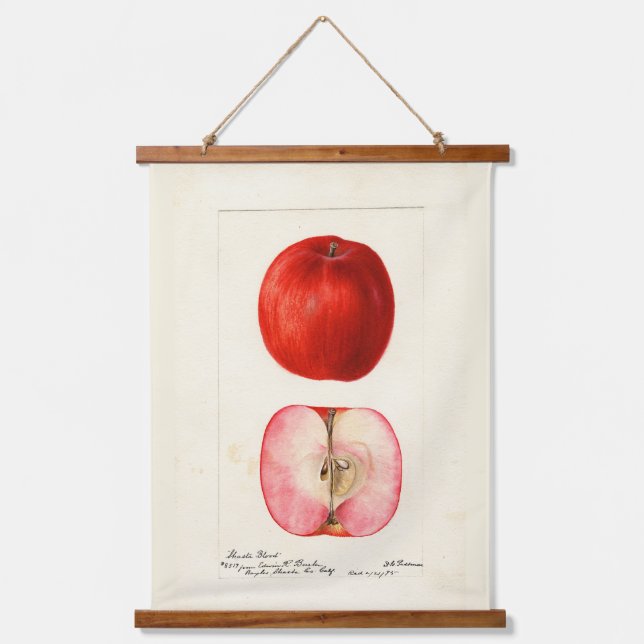 Tapisserie Suspendue Pomological Water Color Shasta Variété (Recto)