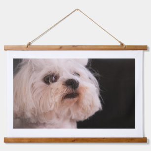 Tapisserie Suspendue Portrait de chien blanc duveteux mignon Lo adora