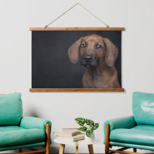 Tapisserie Suspendue Portrait de chiot Rhodesian Ridgeback Adorable Chi