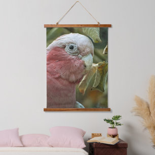Tapisserie Suspendue Portrait de Galah Cockatoo Rose Oiseau Australien