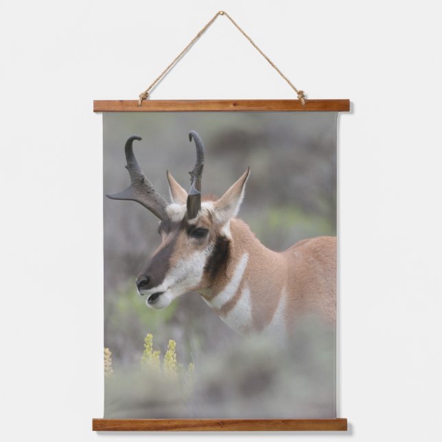 Tapisserie Suspendue Pronghorn Antelope Buck | Grand Tétons (Recto)