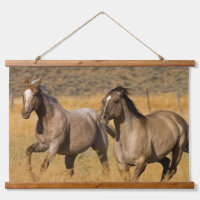 Ranch Living at The Ponderosa Ranch