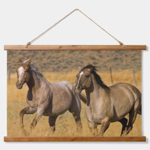 Tapisserie Suspendue Ranch Living at The Ponderosa Ranch