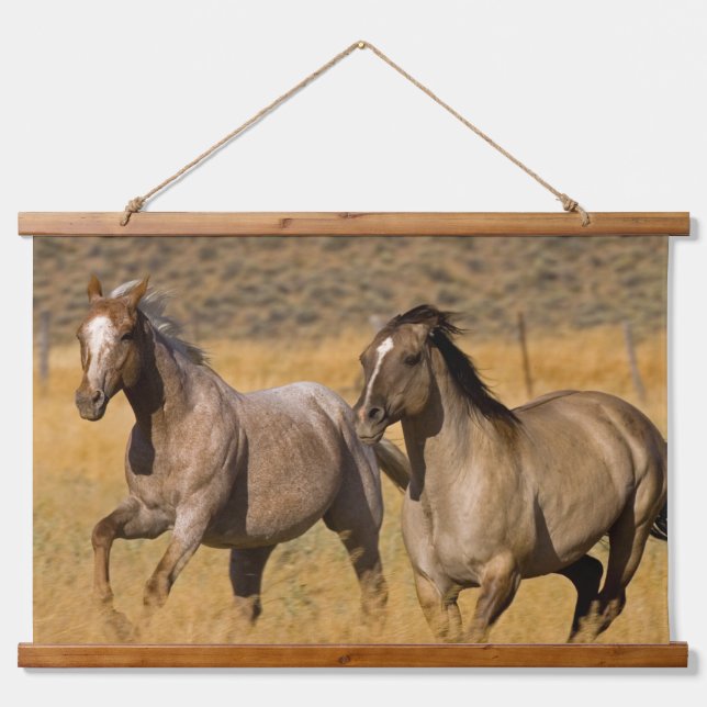 Tapisserie Suspendue Ranch Living at The Ponderosa Ranch (Devant)